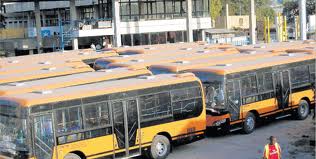 Pioneer Buses hit the streets in 2 weeks