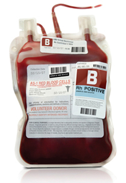 Blood shortage not alarming-government