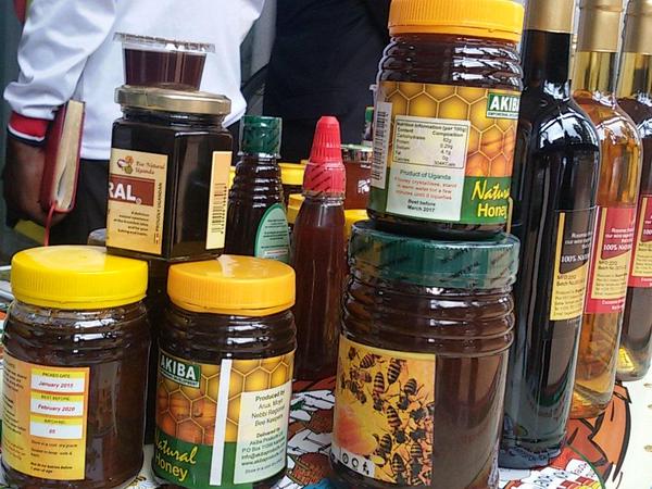 Women And Youth Urged To Embrace Bee Keeping