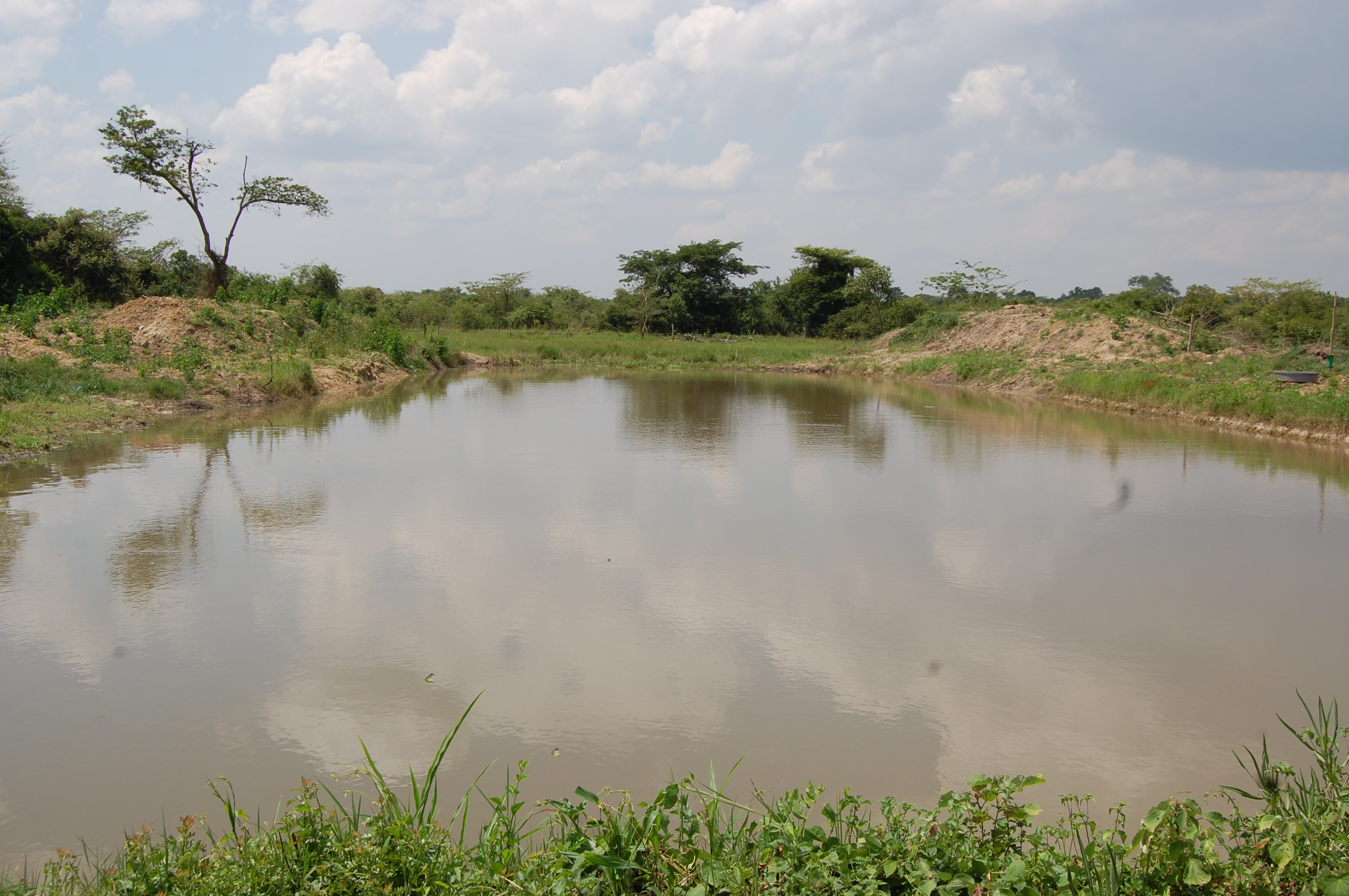 23 year old man dies in Rakai valley dam