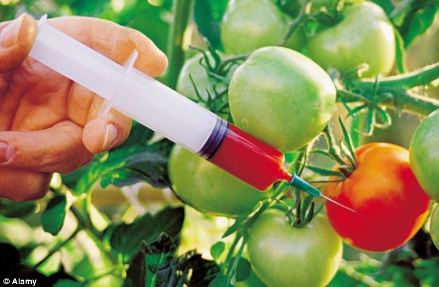 GMOs criticized