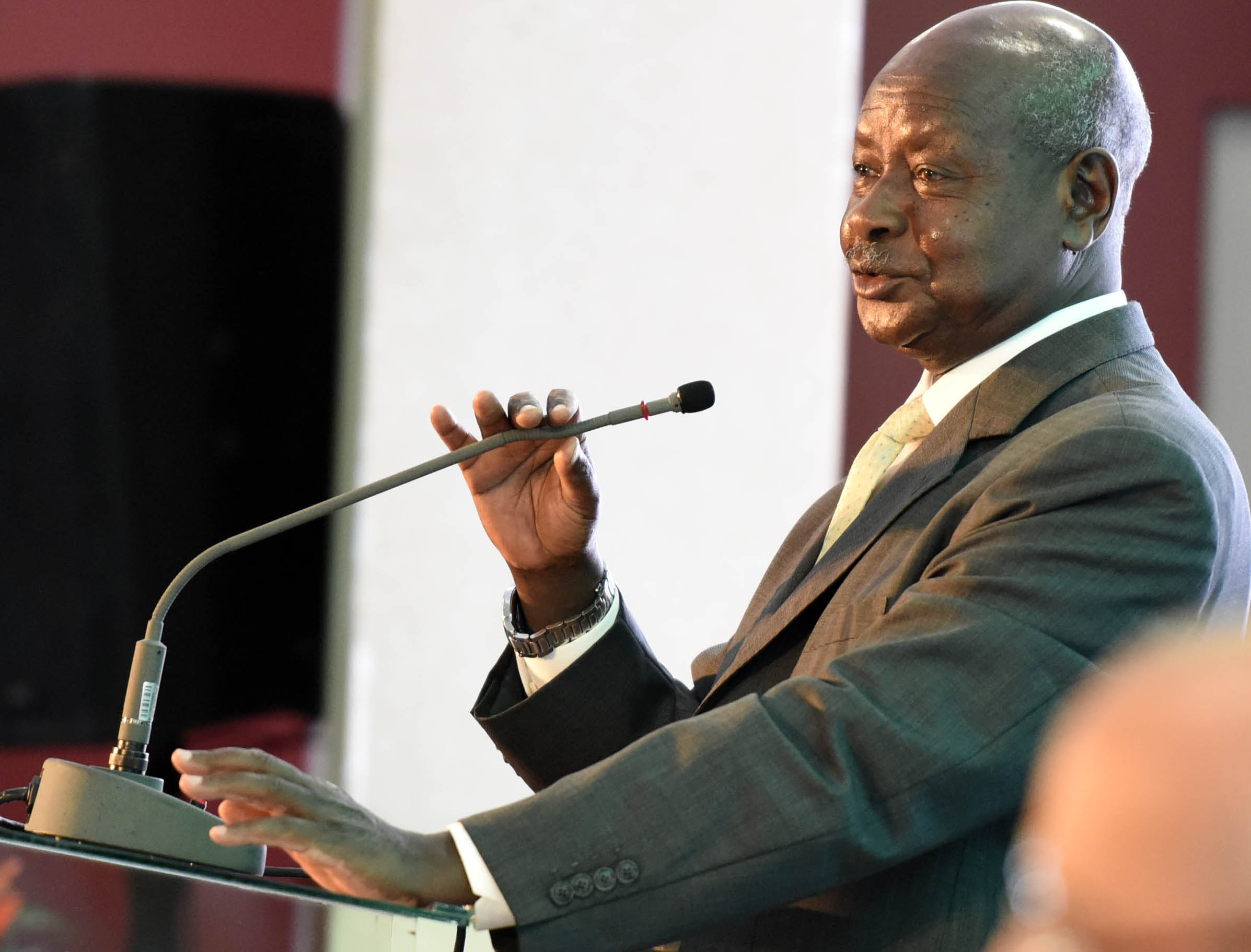 African Leaders Endorse Museveni’s Development Proposals