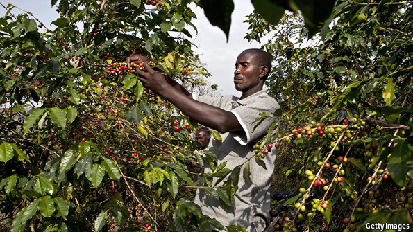 Fake agricultural inputs on market