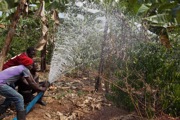 Mawogola County Chief Asks Government To Train Farmers Irrigation Skills
