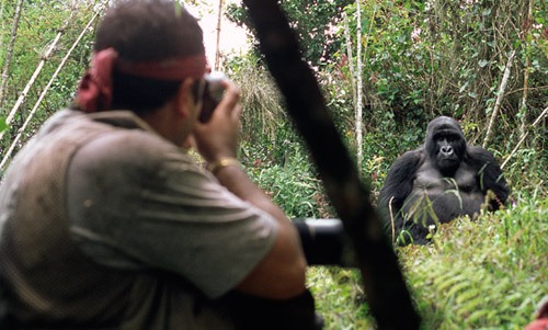 Police probes death of French tourist in Kanungu