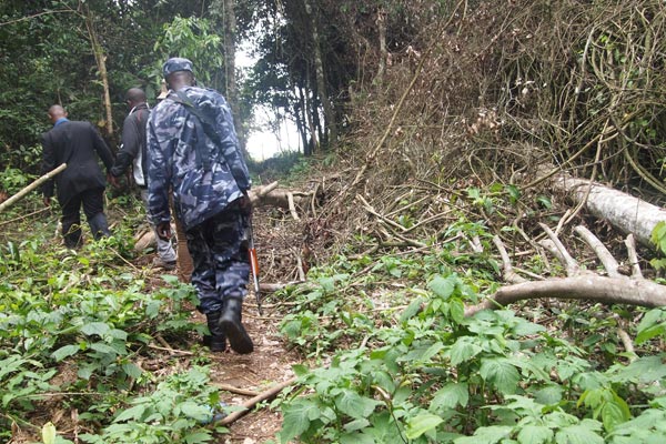 40bn shillings allocated to restore forest reserves
