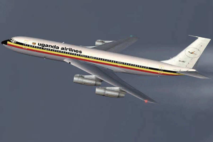 Government insists on its officials using national airline