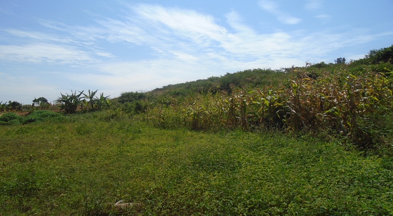 Agricultural ministry to lose over 1000 acres of land