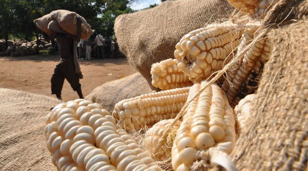 MP’s still skeptical on government’s plan to buy off surplus grain from farmers