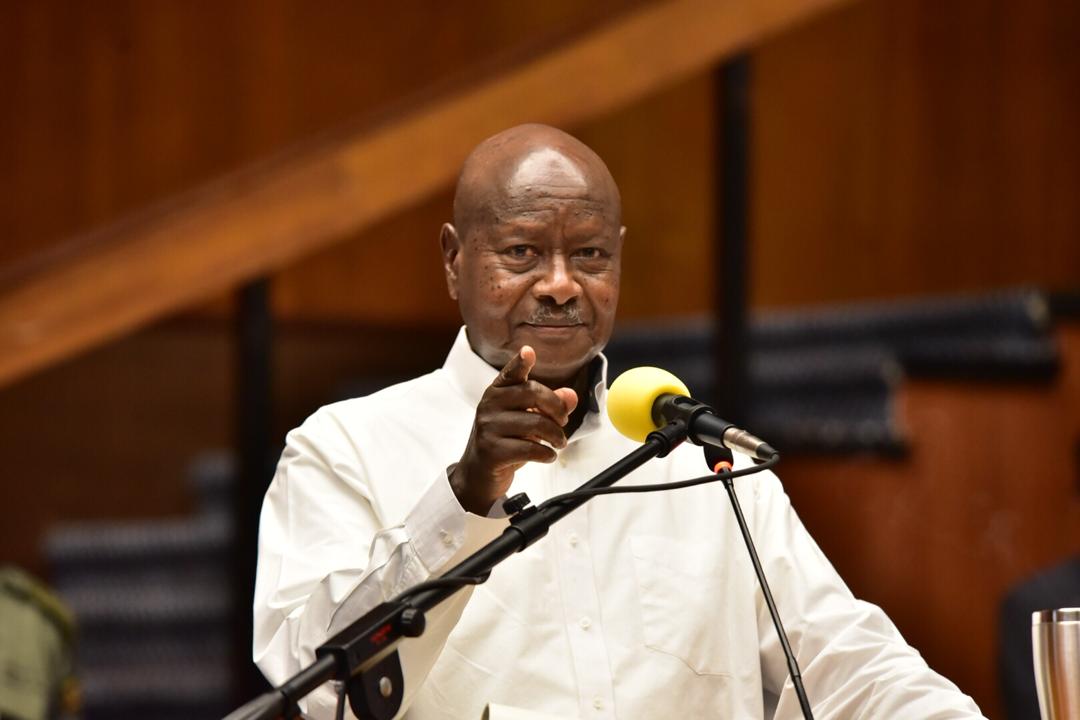 M7 Launches mosquito paint