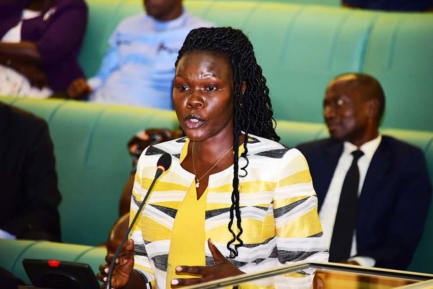 Analysts, DP party ask Minster Anite to resign