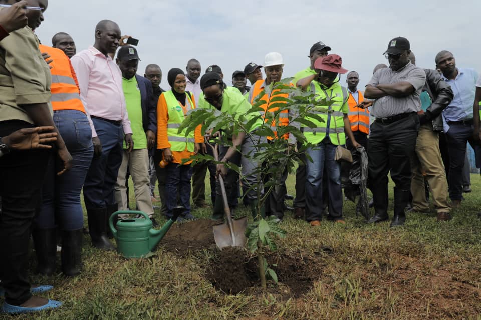 UNRA to plant 1 million trees