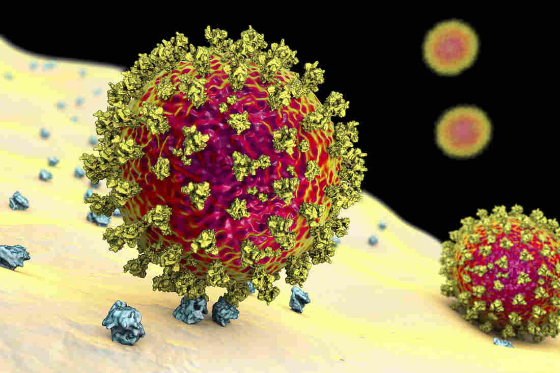 Ugandan scientists studying new covid variant