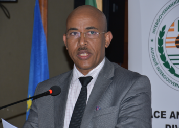 22 IGAD observers deployed