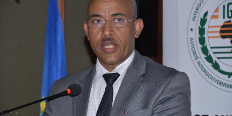 22 IGAD observers deployed