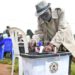 EC excludes results from over 1,200 polling stations