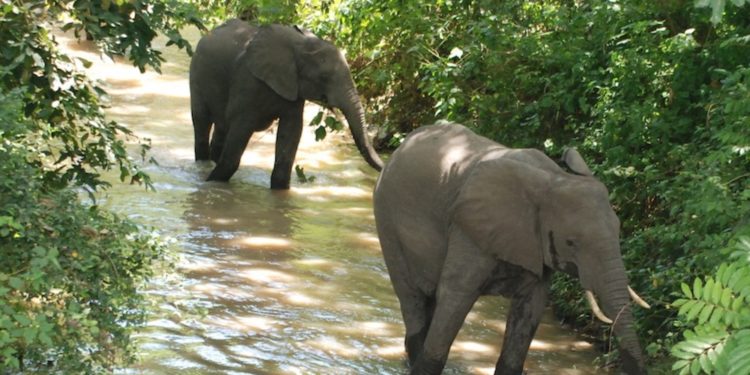 Ministry of Tourism to focus on branding