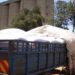 Tough terms as Kenya lifts Tanzania, Uganda maize imports ban
