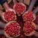 Parliament passes National coffee bill for the second time