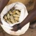 CSOs ask govt to create other markets for maize farmers