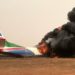 Ten people killed in South Sudan plane crash
