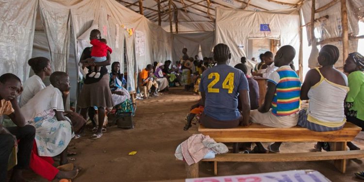More Congolese refugees cross into Uganda
