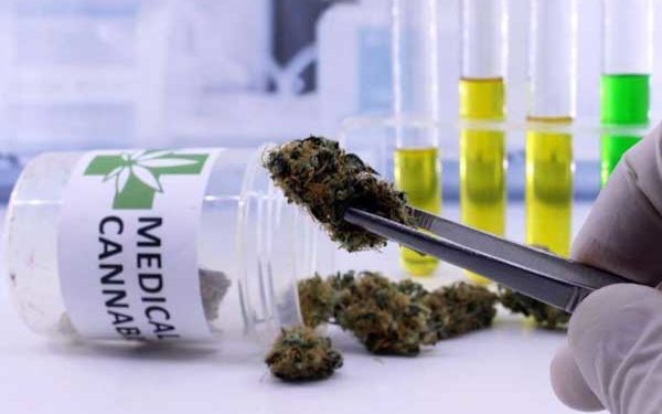 Rwanda legalises medical use of Cannabis