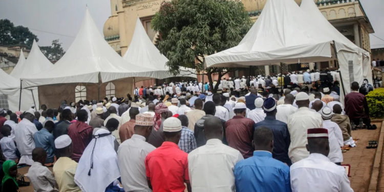 Preparations for Eid-al-Adha in high gear