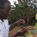Minister directs NARO boss to ensure supply of quality seed