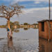 Climate change emergency can be addressed through civic education, says NICE-UG