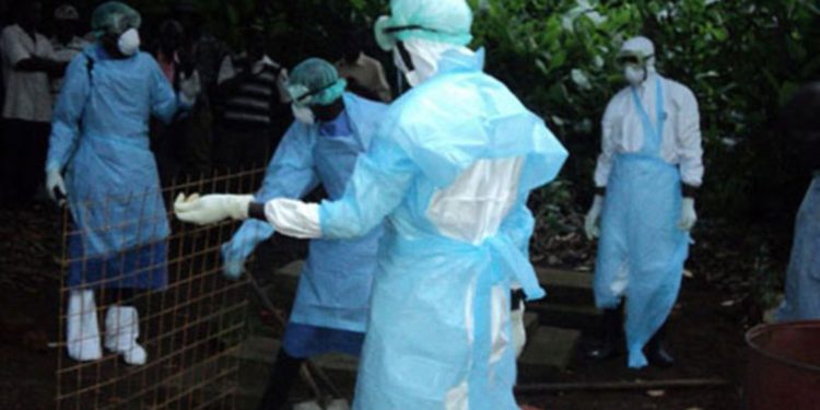 First case of deadly Marburg virus confirmed in West Africa