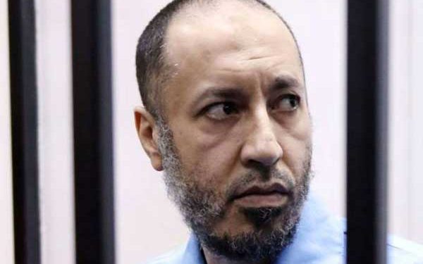 Libya frees Gaddafi’s son from jail