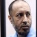 Libya frees Gaddafi’s son from jail