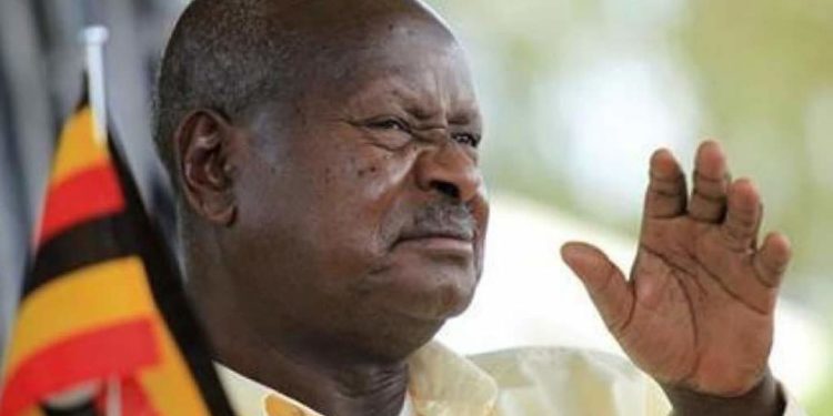 I pity those who drink alcohol- Museveni