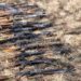 Army to close voluntary disarmament exercise in Karamoja