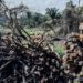 Weak enforcement of environment laws blamed on limited manpower