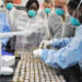 Screen all Covid patients for TB, health workers told