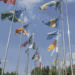 Games and good governance: What is the Commonwealth?