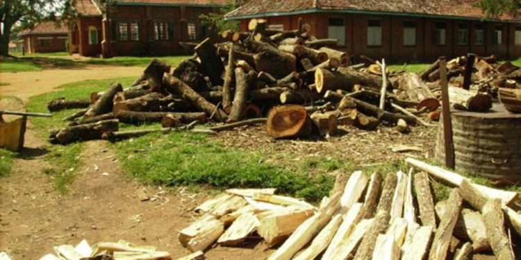 Netherlands gov’t commits  Shs15.2b to clean energy