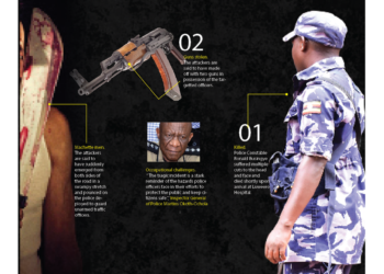 Machete assailants kill traffic officer at checkpoint, steal two guns