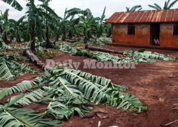 Weatherman warns of heavy rain this month