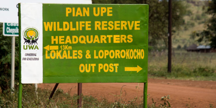 Locals in Karamoja turn to wild animals in Pian-Upe park for food
