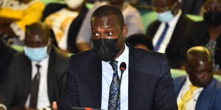 Tourism minister urges Ugandans to promote country