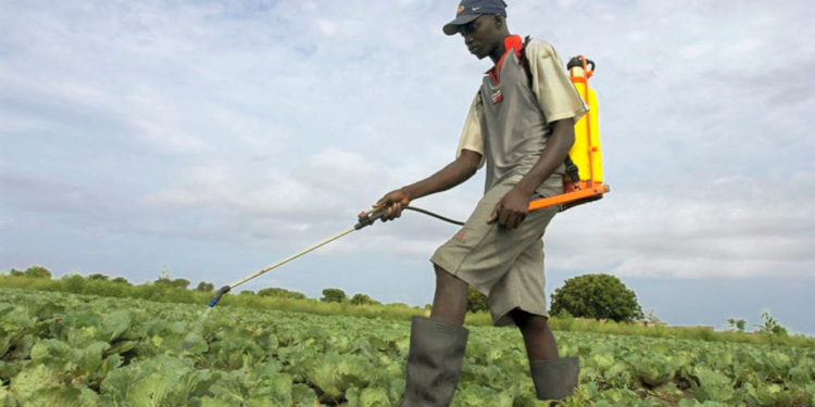 CSOs call for ban on hazardous agro-chemicals