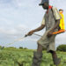 CSOs call for ban on hazardous agro-chemicals