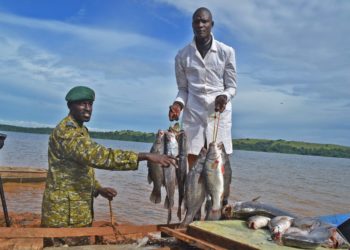 Court fines 40 Kenyan nationals convicted of illegal fishing