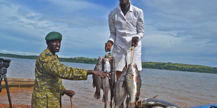 Court fines 40 Kenyan nationals convicted of illegal fishing