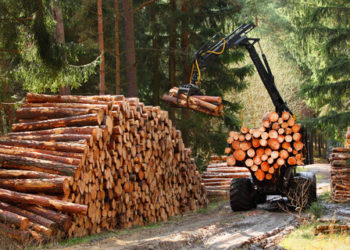 NEMA tightens requirements for timber processing companies