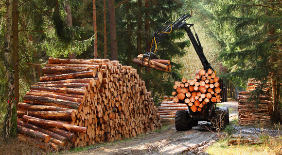 NEMA tightens requirements for timber processing companies