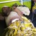 Six Congolese refugees injured in fresh clashes